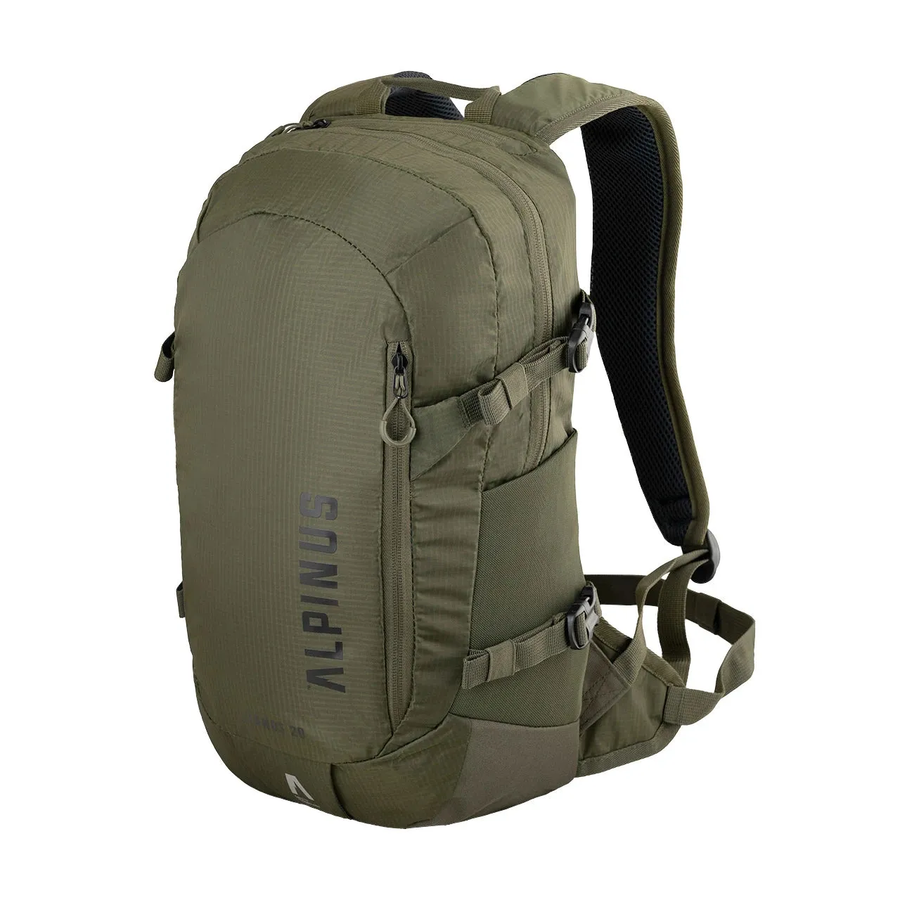 Alpinus Llanos 20 Backpack in Green