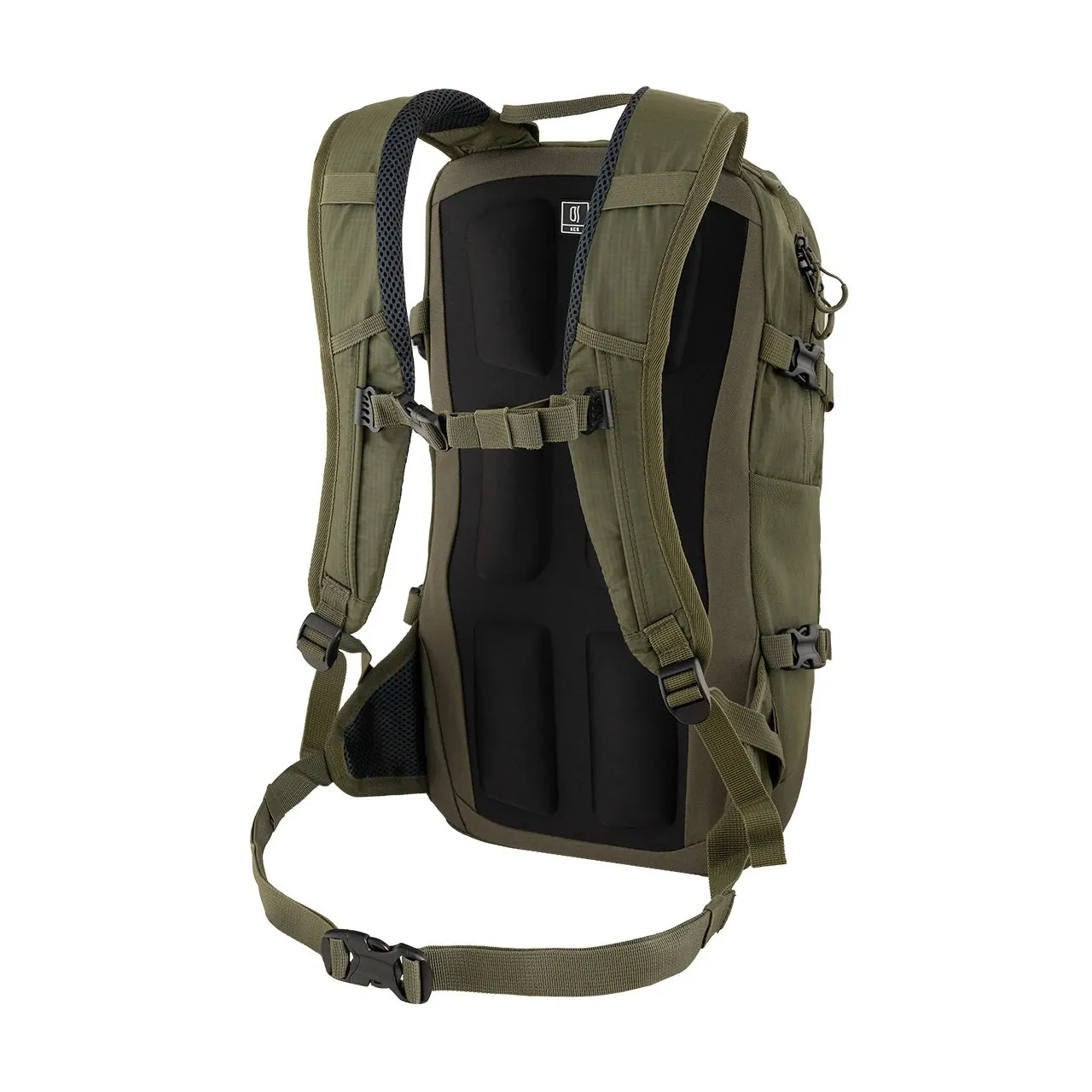 Alpinus Llanos 20 Backpack in Green